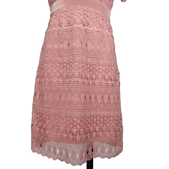 Rachel Parcell Pink Lace Sheath Dress Size S Velvet Coquette Crochet Pencil - Picture 4 of 10